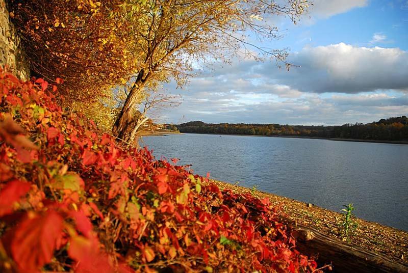 Maison Bord De Lac De Charmes Bannes  Exteriör bild